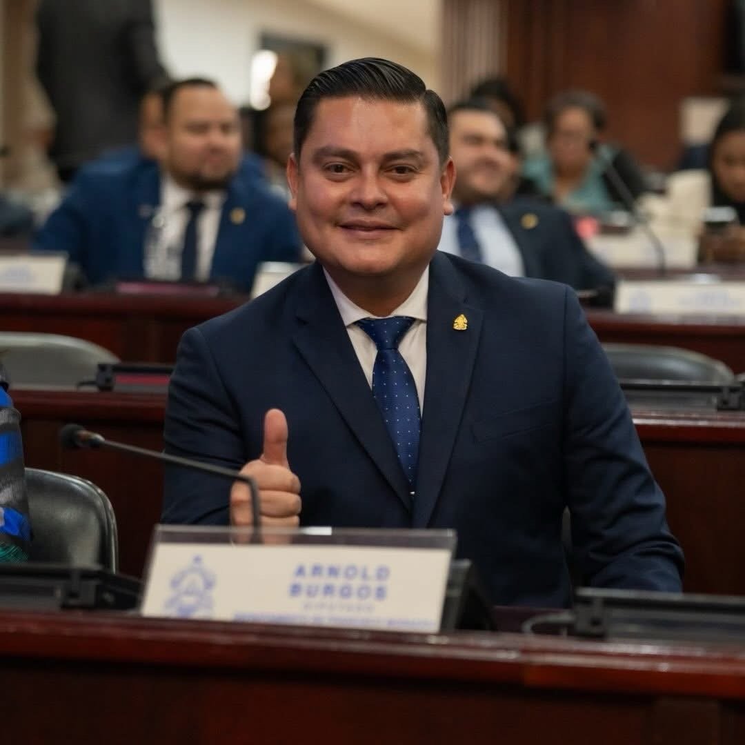 El diputado del PN Arnold Burgos dice que, Consejeros y magistrados de los entes electorales deben ser electos por la sociedad civil.