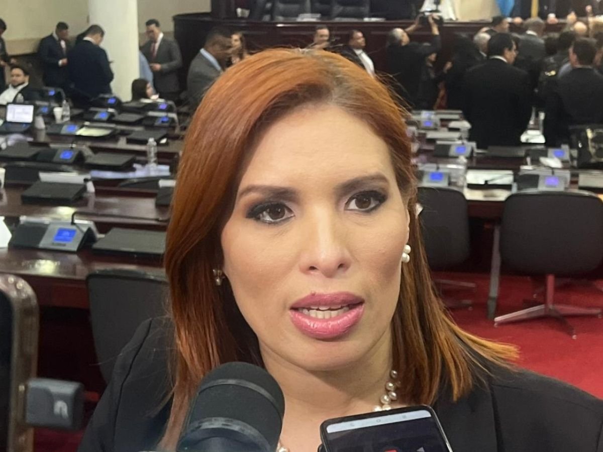 La diputada del Partido Liberal Erika Urtecho presenta iniciativa en el CN, para que se otorgue un salario digno a los guardias de seguridad.